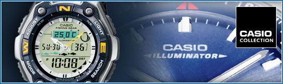 часы casio standart в киеве