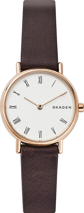 Skagen skw2760 2024