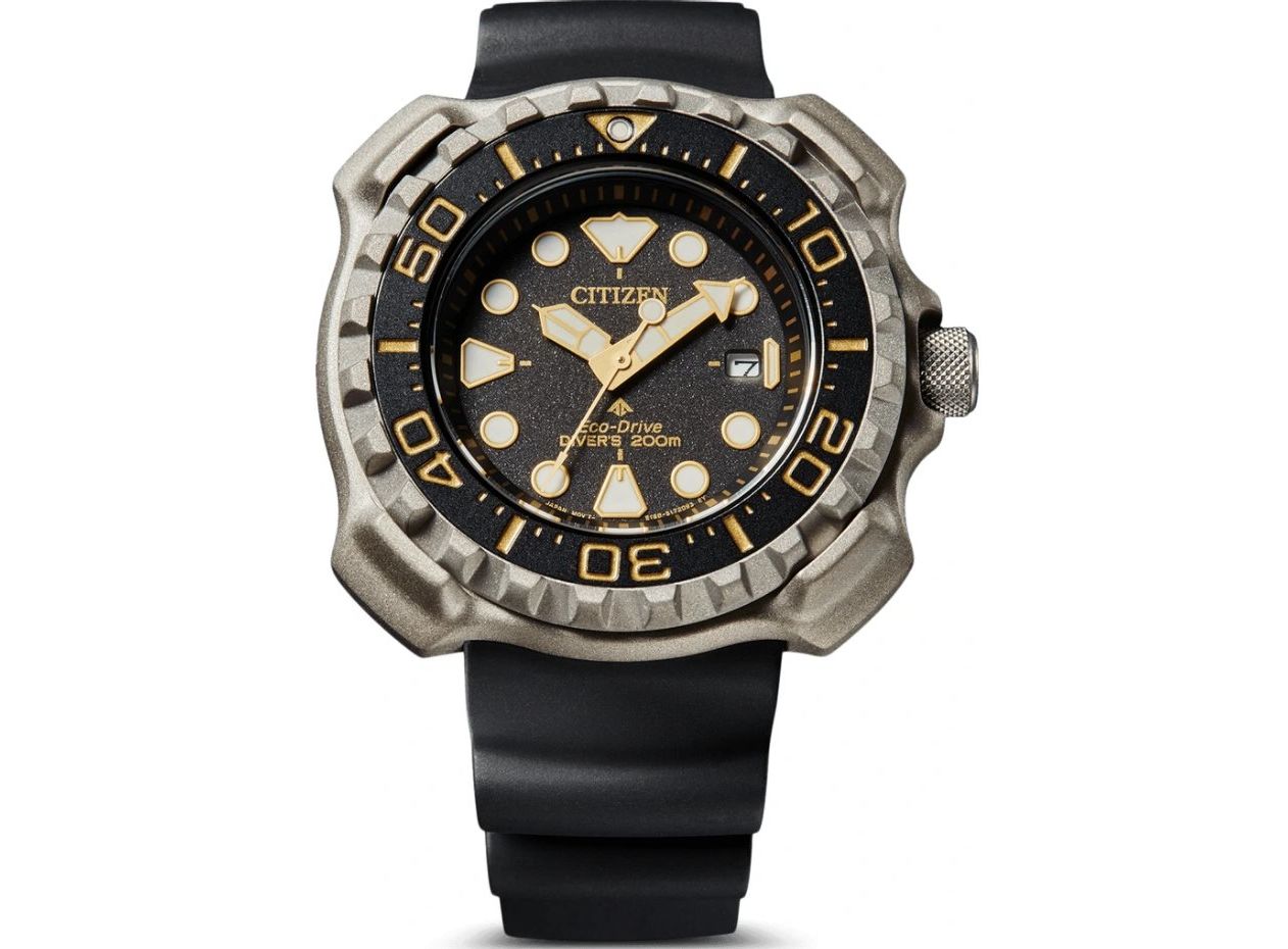 Promaster shop marine citizen