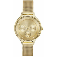 Skagen SKW2313 | Интернет-магазин оригинальных часов и аксессуаров