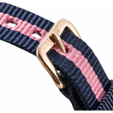 Daniel Wellington DW00100065 (0906DW) Classy Winchester, фото 8 | Интернет-магазин оригинальных часов и аксессуаров