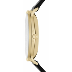 Skagen SKW6217, фото 3 | Интернет-магазин оригинальных часов и аксессуаров