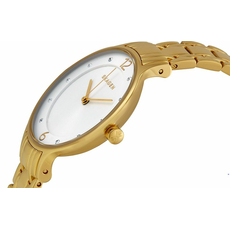 Skagen SKW2322, фото 3 | Интернет-магазин оригинальных часов и аксессуаров