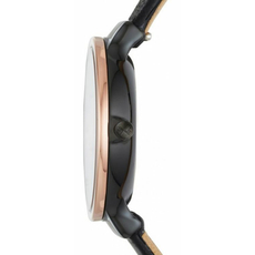 Skagen SKW2480, фото 4 | Интернет-магазин оригинальных часов и аксессуаров