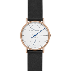 Skagen SKW6390 | Интернет-магазин оригинальных часов и аксессуаров