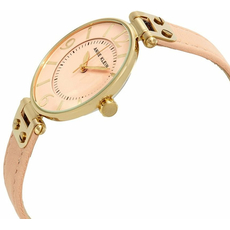 ANNE KLEIN 10/9168PEPE, фото 2 | Интернет-магазин оригинальных часов и аксессуаров