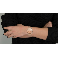 Skagen SKW2732, фото 5 | Интернет-магазин оригинальных часов и аксессуаров