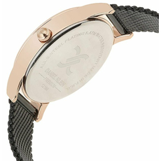 Daniel Klein DK12168-2, фото 3 | Интернет-магазин оригинальных часов и аксессуаров