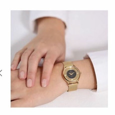 CHRISTINA 335GBL-MESH, фото 2 | Интернет-магазин оригинальных часов и аксессуаров