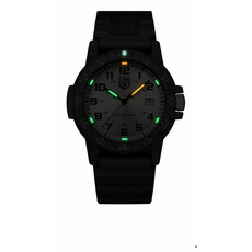 Luminox XS.0325.GP, фото 5 | Интернет-магазин оригинальных часов и аксессуаров