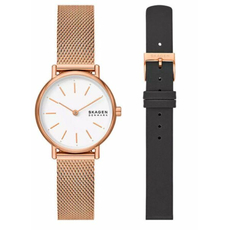 Skagen SKW1153SET, фото 2 | Интернет-магазин оригинальных часов и аксессуаров