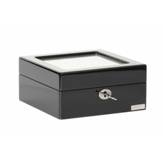 Шкатулка Salvadore 802-6BG, фото 2 | Интернет-магазин оригинальных часов и аксессуаров