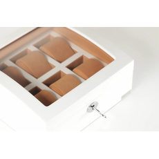 Скринька Salvadore WB/3035/6WH, фото 3 | Интернет-магазин оригинальных часов и аксессуаров