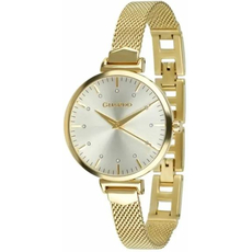 Guardo T02279A-1-(m.GW) | Интернет-магазин оригинальных часов и аксессуаров