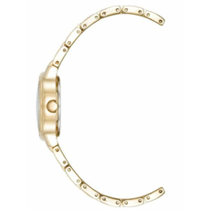 ANNE KLEIN AK/5104MPGB, фото 2 | Интернет-магазин оригинальных часов и аксессуаров