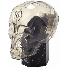 Philipp Plein Ppwnfa0125 DATE SUPERLATIVE, фото 5 | Интернет-магазин оригинальных часов и аксессуаров