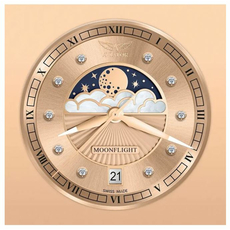 Aviator V.1.33.2.383.4 Douglas MoonFlight Edition, фото 6 | Интернет-магазин оригинальных часов и аксессуаров