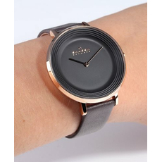 Skagen SKW2216, фото 2 | Интернет-магазин оригинальных часов и аксессуаров