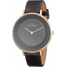 Skagen SKW2216 | Интернет-магазин оригинальных часов и аксессуаров