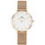 Daniel Wellington DW00100163 Classic Petite Melrose 32 | Интернет-магазин оригинальных часов и аксессуаров