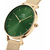 Daniel Wellington DW00100479 Petite Emerald 28 G Green, фото 2 | Интернет-магазин оригинальных часов и аксессуаров