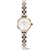 Daniel Wellington DW00100924 | Интернет-магазин оригинальных часов и аксессуаров