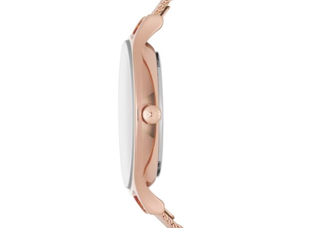 Skagen SKW2401, фото 2 | Интернет-магазин оригинальных часов и аксессуаров