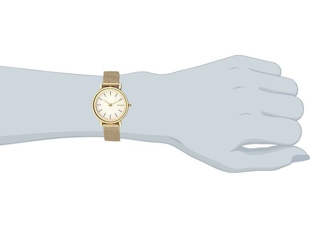 Skagen SKW2443, фото 3 | Интернет-магазин оригинальных часов и аксессуаров