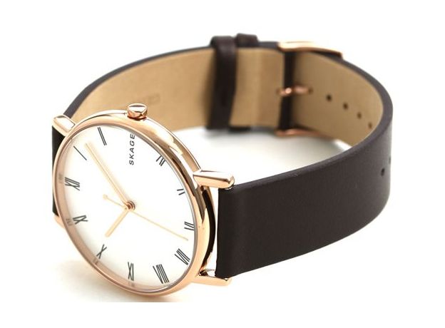 SKAGEN skw6426 Signatur Black Leather Watch [スカーゲン