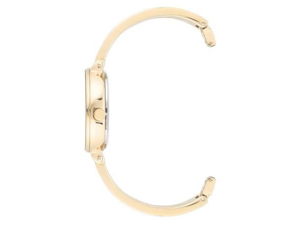 ANNE KLEIN AK/3620CRST, фото 2 | Интернет-магазин оригинальных часов и аксессуаров