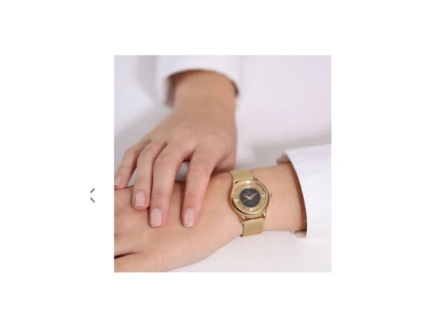 CHRISTINA 335GBL-MESH, фото 2 | Интернет-магазин оригинальных часов и аксессуаров