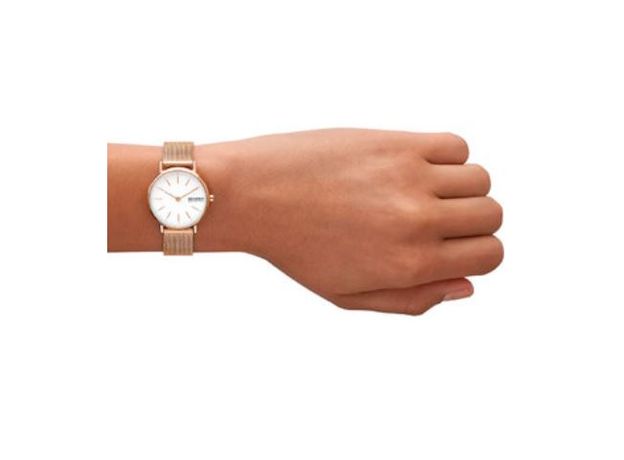 Skagen SKW1153SET, фото 5 | Интернет-магазин оригинальных часов и аксессуаров