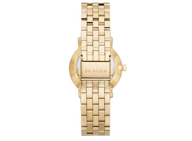 Skagen SKW3102, фото 3 | Интернет-магазин оригинальных часов и аксессуаров