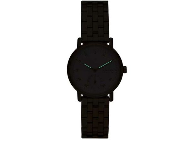 Skagen SKW3102, фото 5 | Интернет-магазин оригинальных часов и аксессуаров