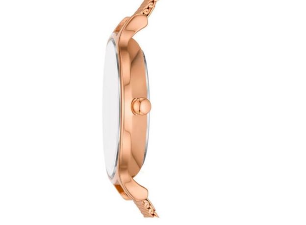 Skagen SKW3107, фото 2 | Интернет-магазин оригинальных часов и аксессуаров