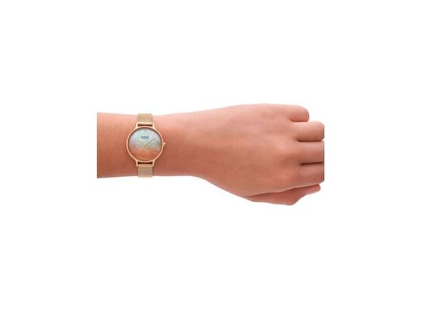 Skagen SKW3107, фото 4 | Интернет-магазин оригинальных часов и аксессуаров