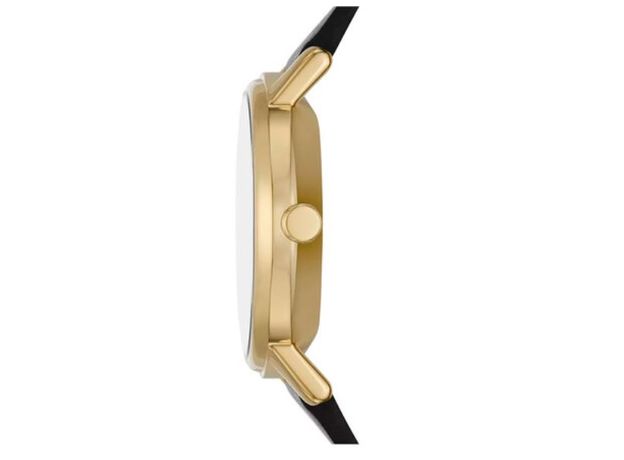 Skagen SKW3114, фото 2 | Интернет-магазин оригинальных часов и аксессуаров