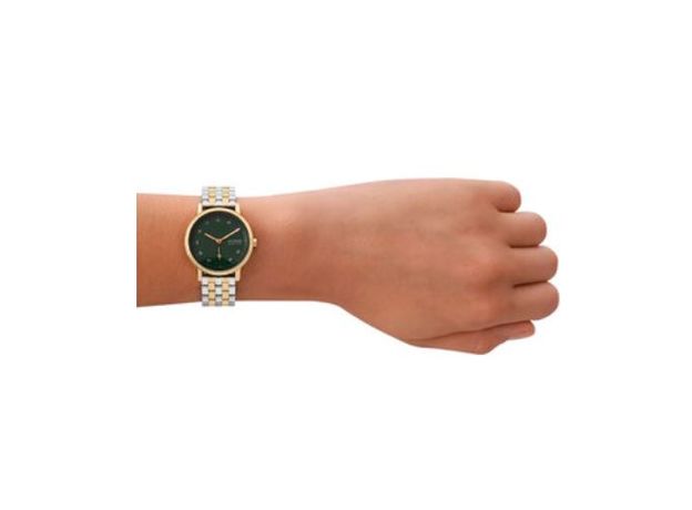 Skagen SKW3122, фото 5 | Интернет-магазин оригинальных часов и аксессуаров