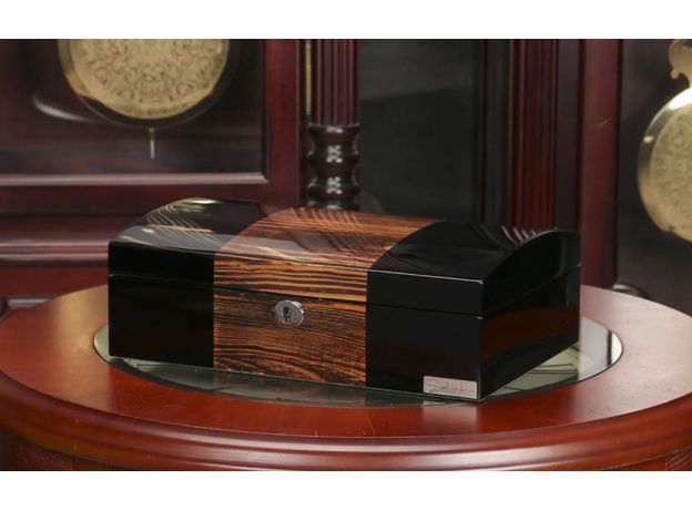 Шкатулка Salvadore 807-8ZBB, фото 4 | Интернет-магазин оригинальных часов и аксессуаров