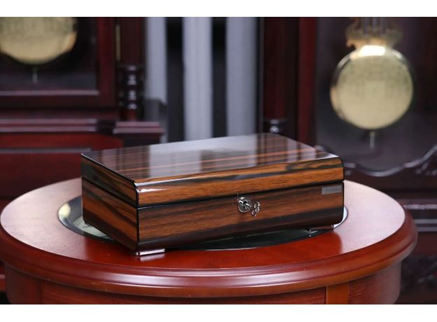 Скринька Salvadore WB/2433/6.EB, фото 7 | Интернет-магазин оригинальных часов и аксессуаров