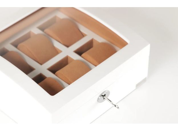 Шкатулка Salvadore WB/3035/6WH, фото 3 | Интернет-магазин оригинальных часов и аксессуаров