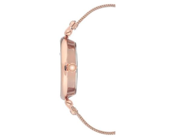 ANNE KLEIN AK/3000RGRG, фото 2 | Интернет-магазин оригинальных часов и аксессуаров