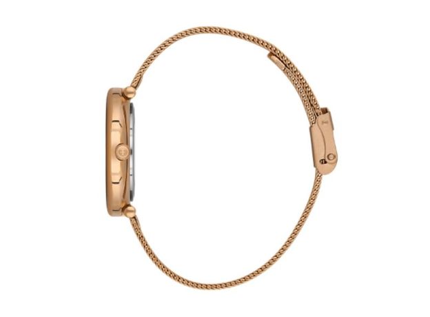 Freelook F.1.10308.3, фото 2 | Интернет-магазин оригинальных часов и аксессуаров