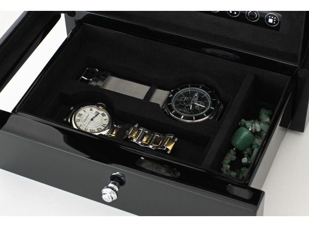 Шкатулка Rothenschild RS-S204LB-P-5V-M, фото 10 | Интернет-магазин оригинальных часов и аксессуаров