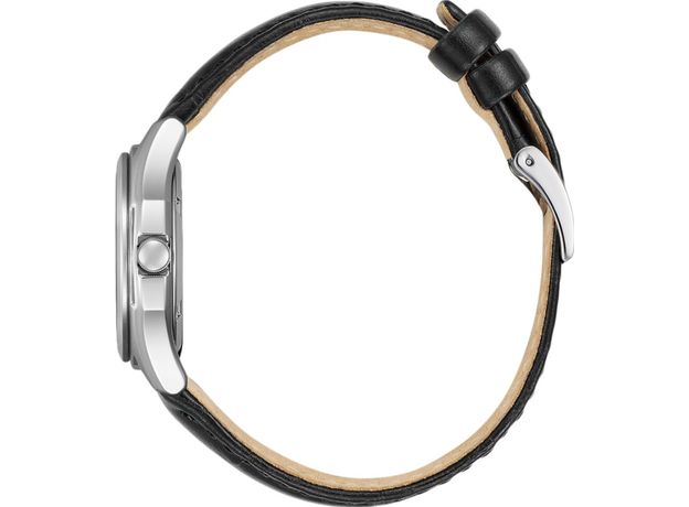 CITIZEN FE2110-14E, Вариации товара: Стальной/Черный, фото 2 | Интернет-магазин оригинальных часов и аксессуаров