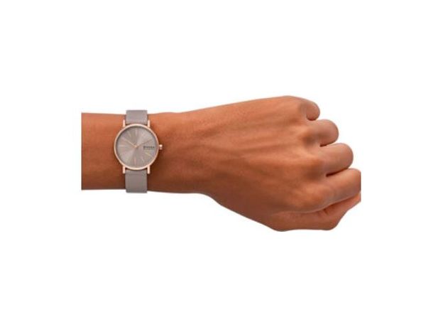 Skagen SKW3060, фото 4 | Интернет-магазин оригинальных часов и аксессуаров