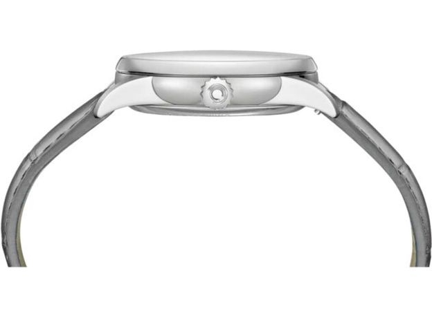 CERTINA C029.430.16.011.01 DS-1 DAY DATE, фото 3 | Интернет-магазин оригинальных часов и аксессуаров