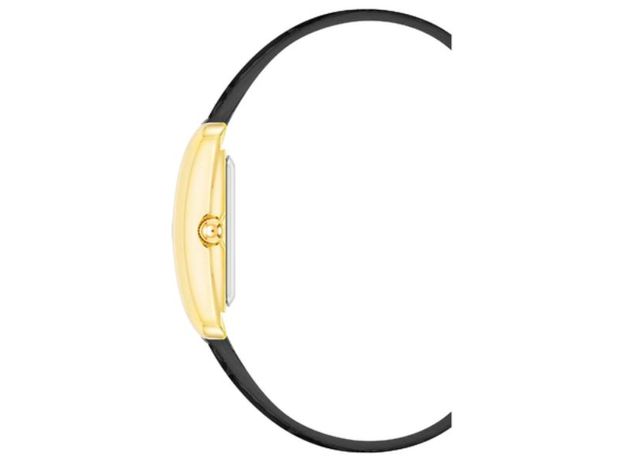 ANNE KLEIN AK/5056GPBK, фото 2 | Интернет-магазин оригинальных часов и аксессуаров