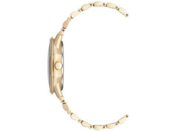 ANNE KLEIN AK/5028MPGB, фото 2 | Интернет-магазин оригинальных часов и аксессуаров