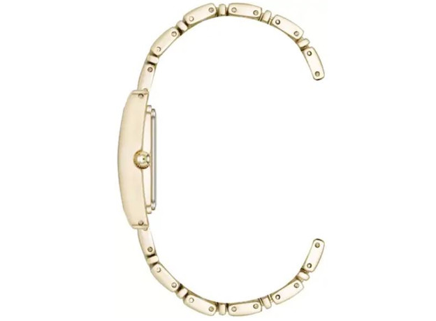 ANNE KLEIN AK/5168CHGB, фото 2 | Интернет-магазин оригинальных часов и аксессуаров